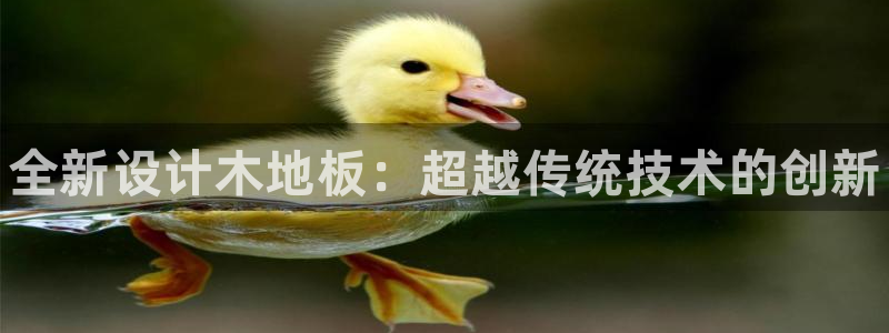 oety欧亿体育官网下载平台是正规平台吗：全新设计木