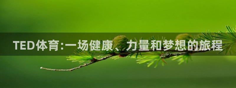 欧亿体育官方正版app集团官网网址：TED体育:一场