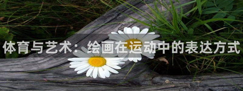 oety欧亿体育官网下载招商电话是多少啊
