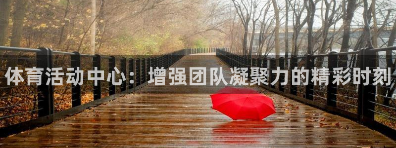 oety欧亿体育官网下载是干嘛的公司：体育活动中心：增强团队