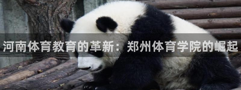 欧亿体育官方集团官网：河南体育教育的革新：郑州体育学