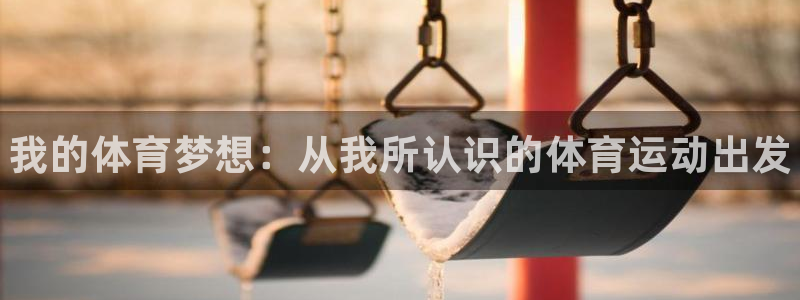 欧亿体育官方正版app集团简介：我的体育梦想：从我所认识的体