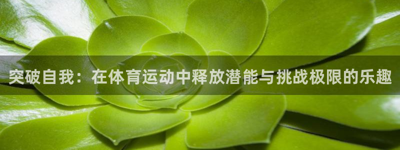 欧亿体育官方正版app娱乐40996