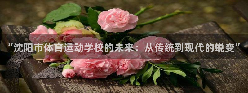 oety欧亿体育官网下载：“沈阳市体育运动学校的未来：从传统
