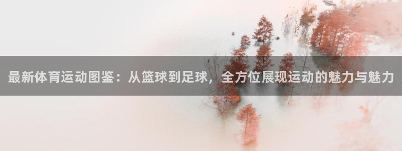 注册欧亿体育官方正版app：最新体育运动图鉴：从篮球到足球，