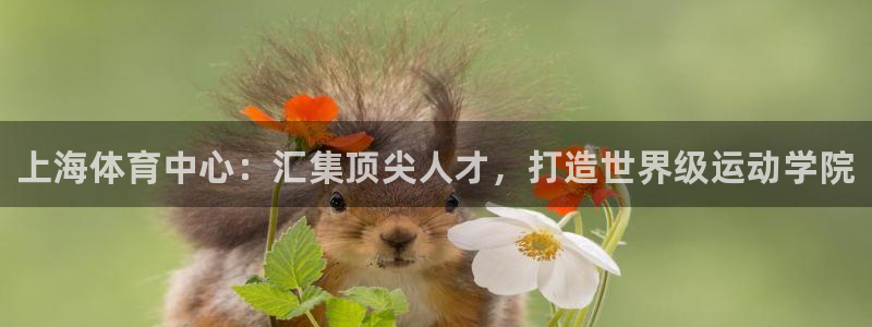 oety欧亿体育官网下载平台APP：上海体育中心：汇集顶尖人