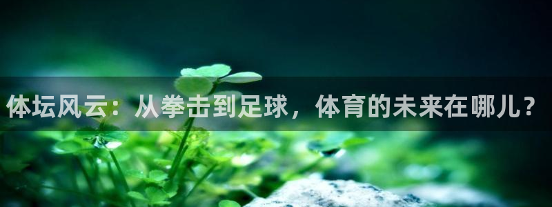 oety欧亿体育官网下载平台APP