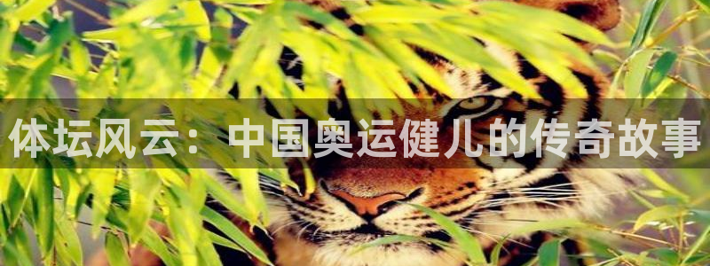 欧亿体育官方正版app集团官网网址：体坛风云：中国奥运健儿的