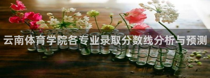 oety欧亿体育官网下载平台是正规平台吗知乎：云南体