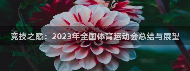 欧亿体育官方集团官网：竞技之巅：2023年全国体育运
