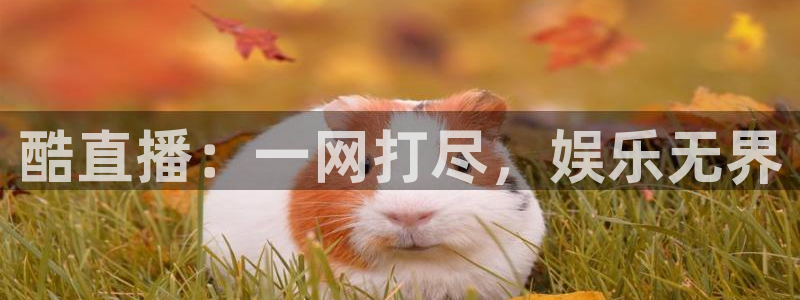 球友直播官网：酷直播：一网打尽，娱乐无界