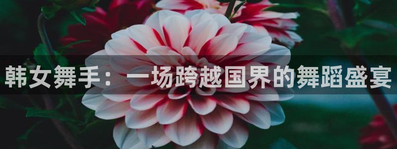 球友直播在线直播：韩女舞手：一场跨越国界的舞蹈盛宴
