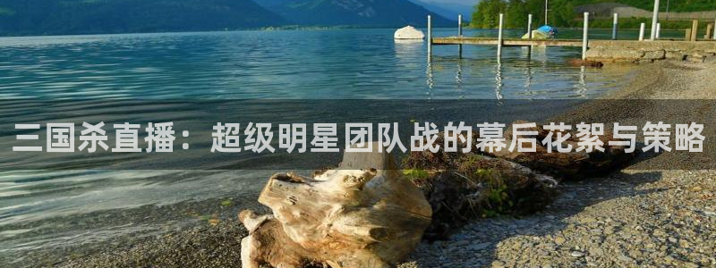 球友体育在线直播：三国杀直播：超级明星团队战的幕后花絮与策略