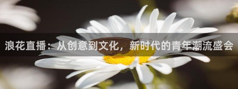 球友直播在线：浪花直播：从创意到文化，新时代的青年潮流盛会
