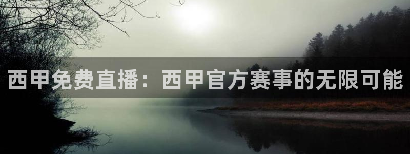 nba直播球友直播：西甲免费直播：西甲官方赛事的无限可能