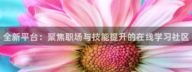 球友体育app免费看球：全新平台：聚焦职场与技能提升的在线学习社区