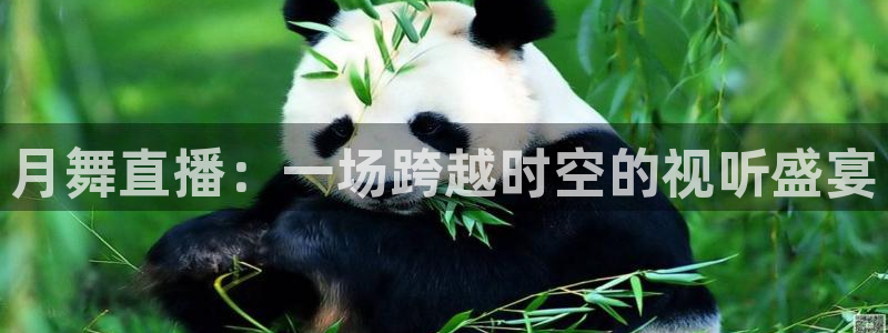 球友体育在线直播观看：月舞直播：一场跨越时空的视听盛宴
