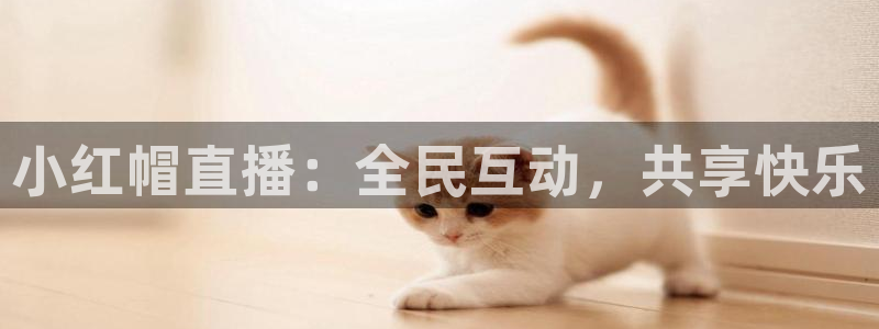 球友直播：小红帽直播：全民互动，共享快乐